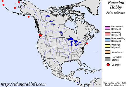 Eurasian Hobby - North American Range Map