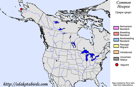 Eurasian Hoopoe - Range Map