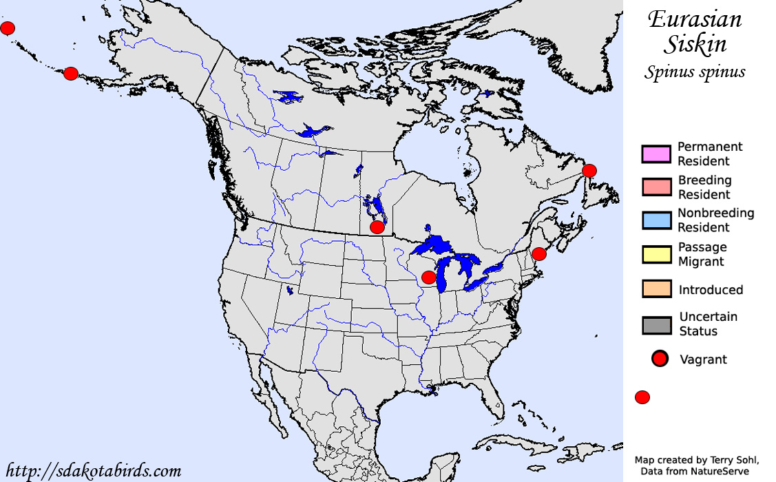 Eurasian Siskin - Range Map