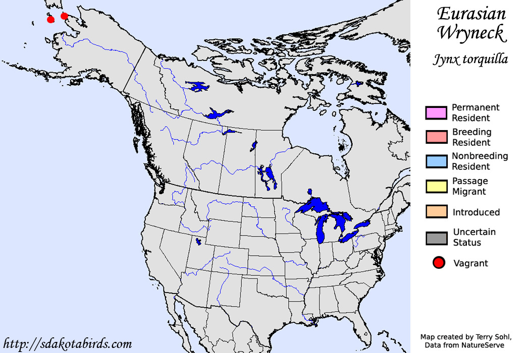 Eurasian Wryneck - North American Range Map