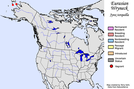 Eurasian Wryneck - Range Map