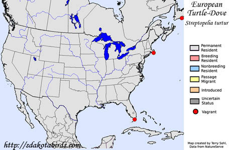 European Turtle-Dove - Range Map