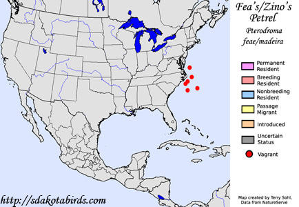 Fea's and Zino's Petrel - Range Map