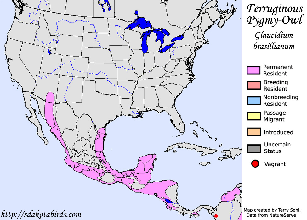 Ferruginous Pygmy-Owl - North American Range Map