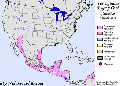 Ferruginous Pygmy-Owl - Range Map