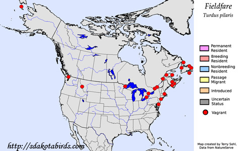 Fieldfare - Range Map