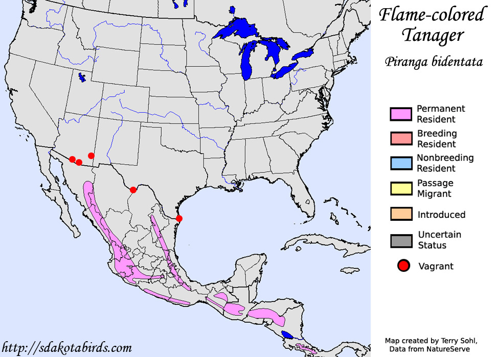 Flame-colored Tanager - North American Range Map