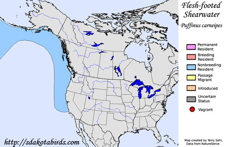 Flesh-footed Shearwwater - Range Map