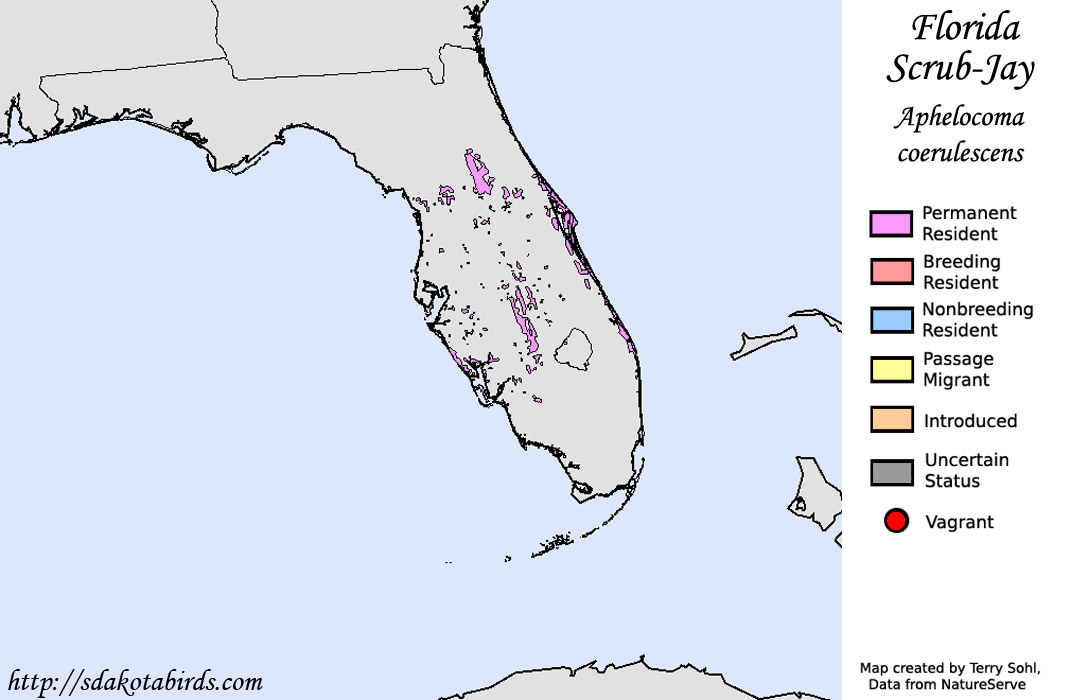 Florida Scrub-Jay - North American Range Map