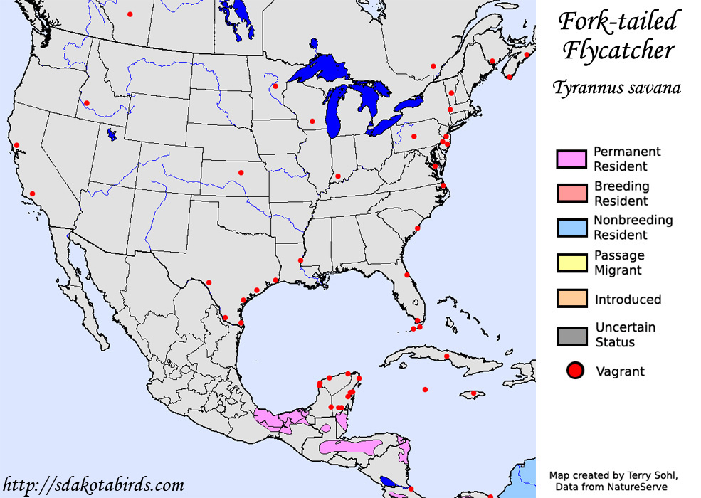 Fork-tailed Flycatcher - North American Range Map