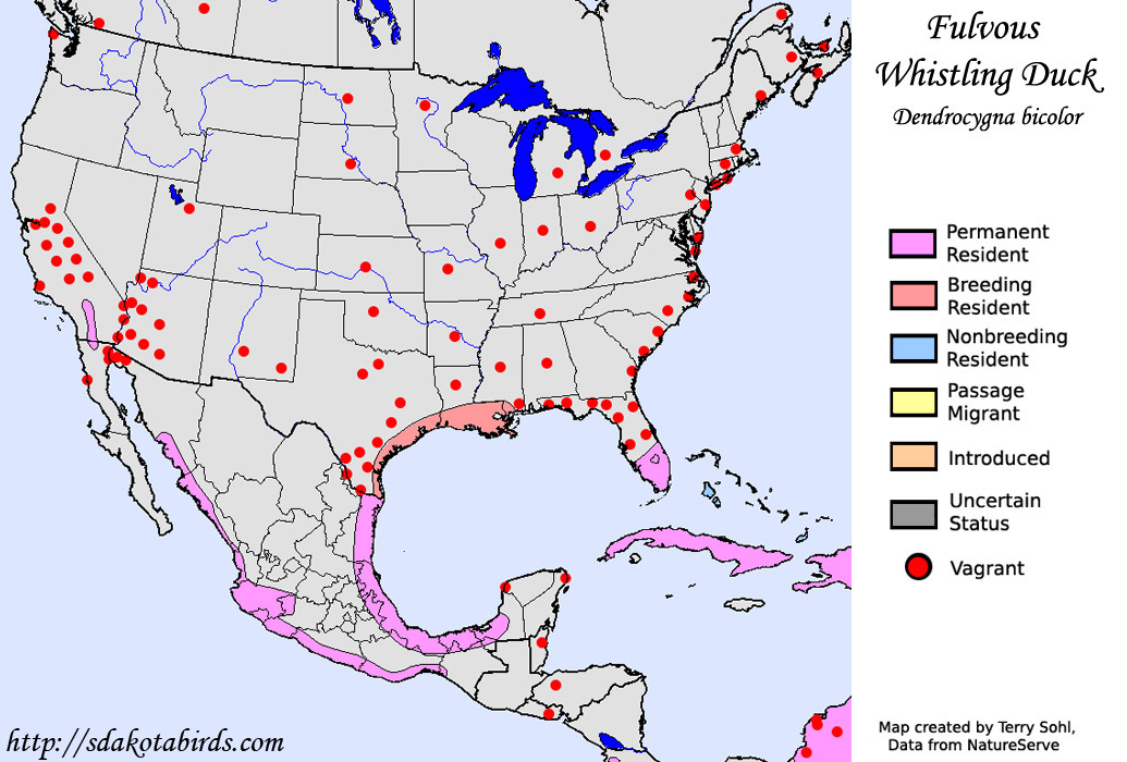Fulvous Whistling Duck Range