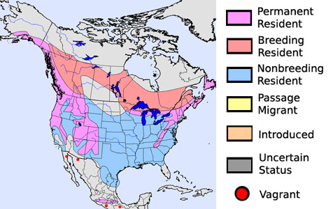 Golden-crowned Kinglet - Species Range Map