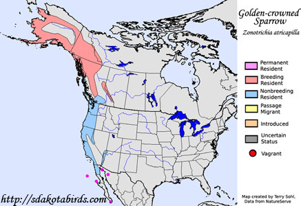 Golden-crowned Sparrow - North American Range Map