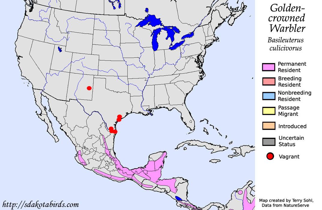Golden-crowned Warbler - North American Range Map