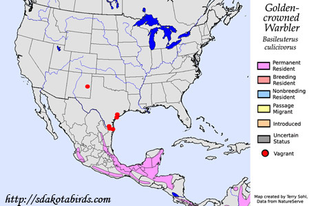 Golden-crowned Warbler - Range Map