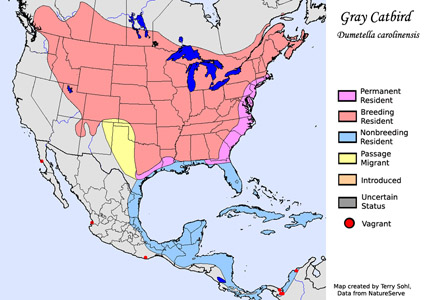 Gray Catbird - Range map