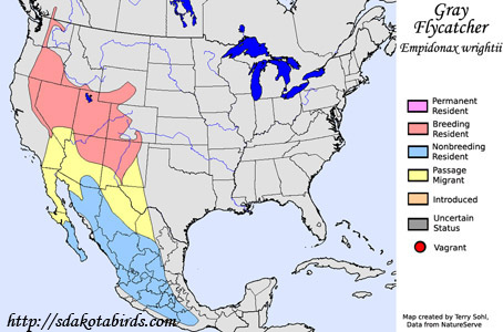 Gray Flycatcher - Range Map