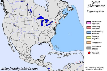 Great Shearwater range map