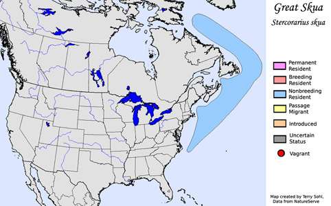 Great Skua - Range Map