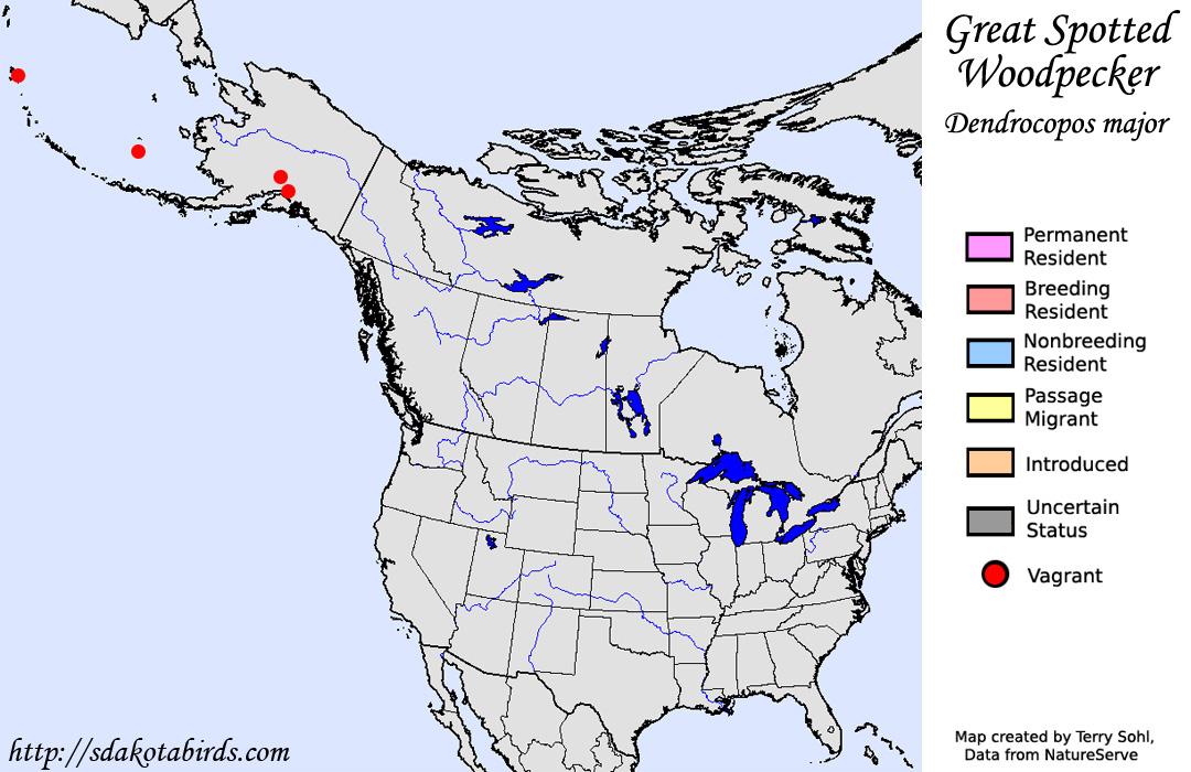 Great Spotted Woodpecker - North American Range Map