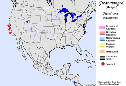 Great-winged Petrel range map