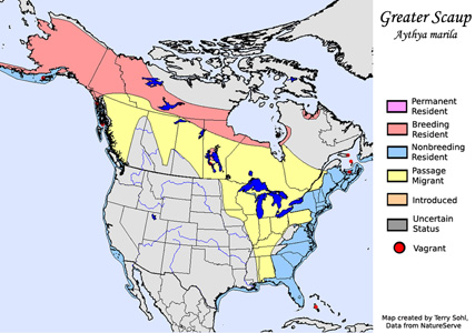 Range Map - Greater Scaup
