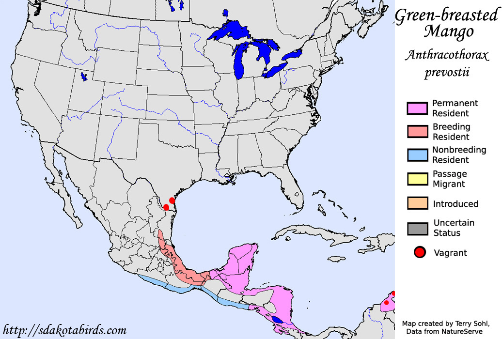 Green-breasted Mango - North American Range Map