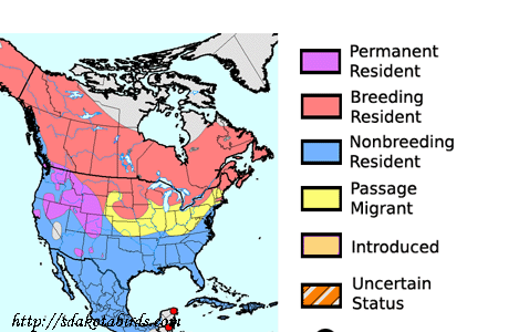 Green-winged Teal - North American Range Map