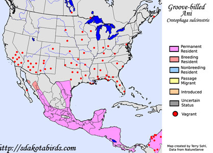 Groove-billed Ani - Range Map
