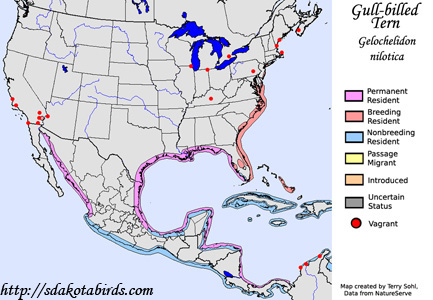 Gull-billed Tern range map