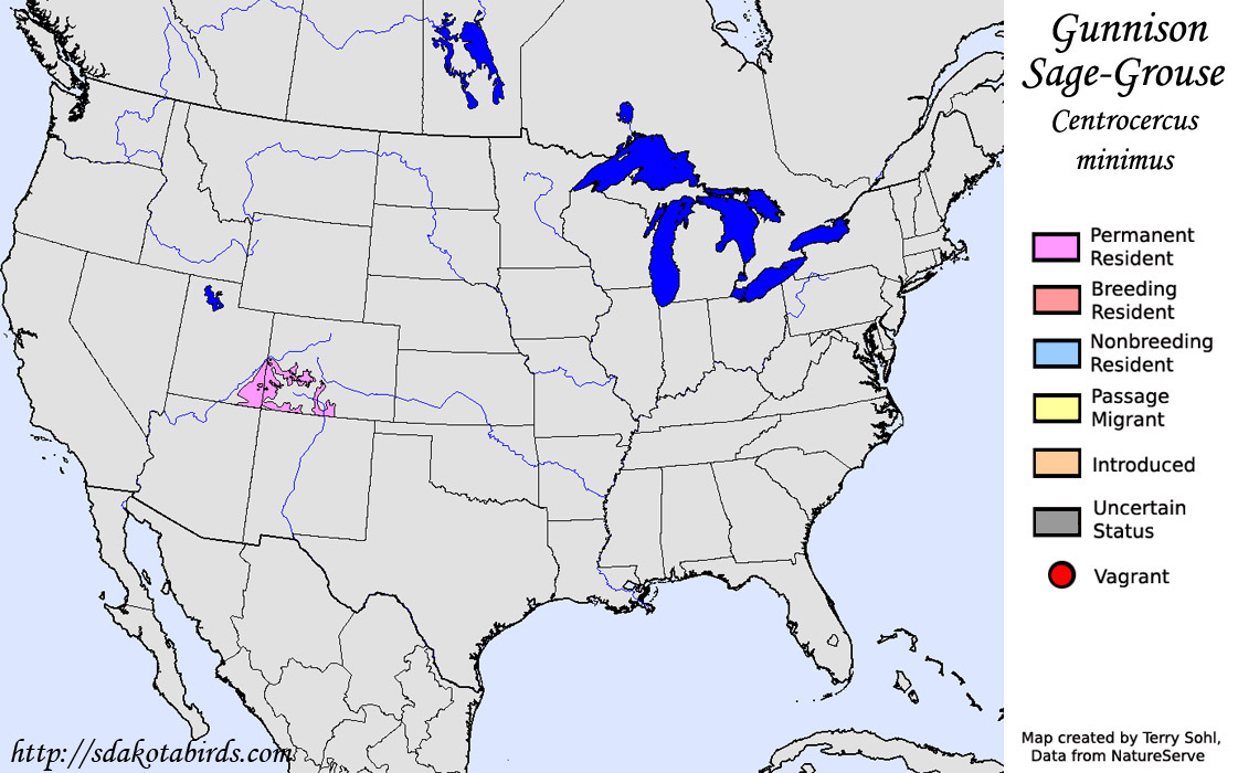 Gunnison Sage-Grouse - North American Range Map