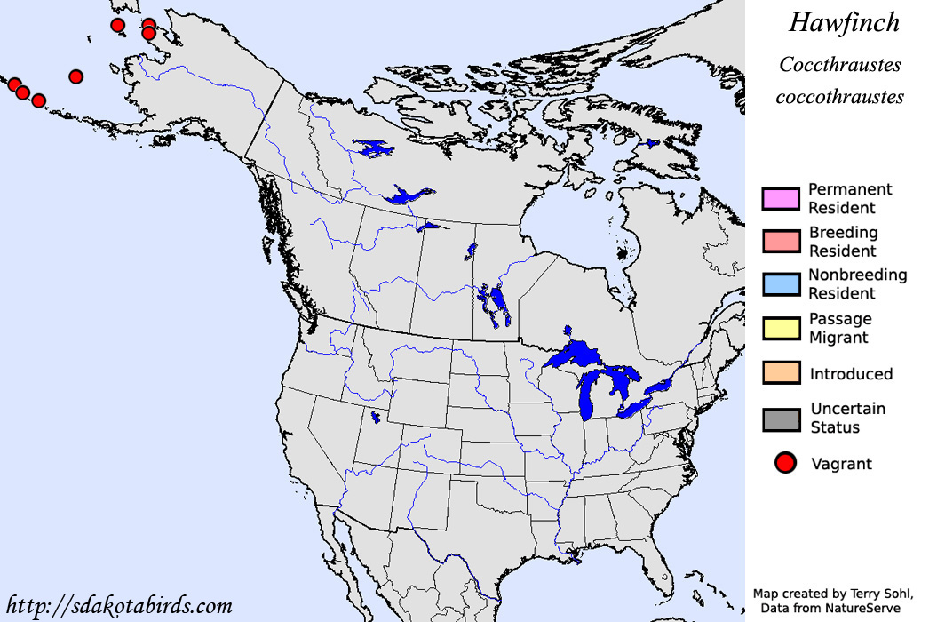 Hawfinch - North American Range Map