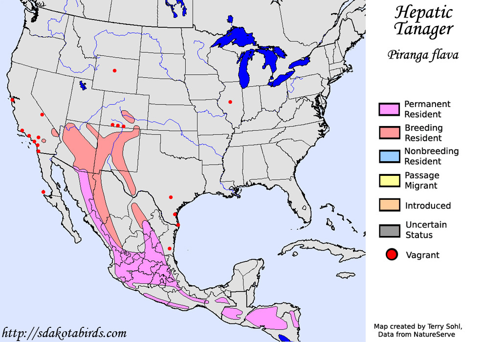 Hepatic Tanager - North American Range Map