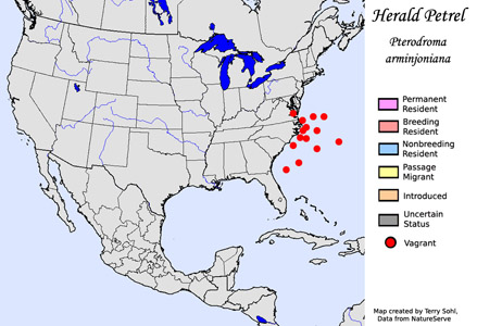Herald Petrel - Range Map