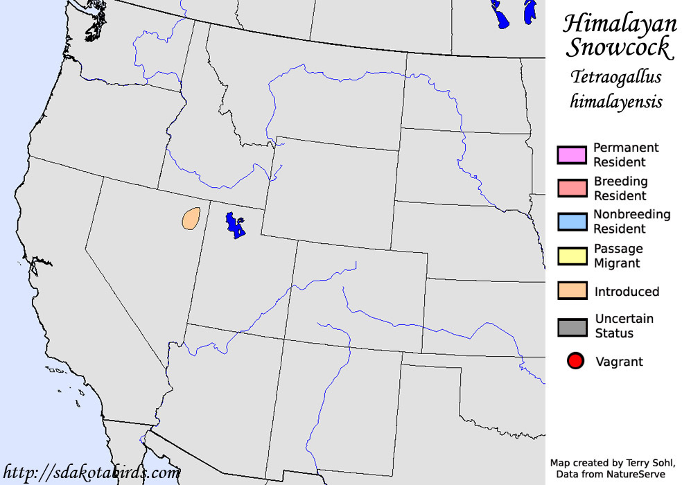 Himalayan Snowcock - North American Range Map