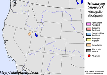 Himalayan Snowcock - Range Map