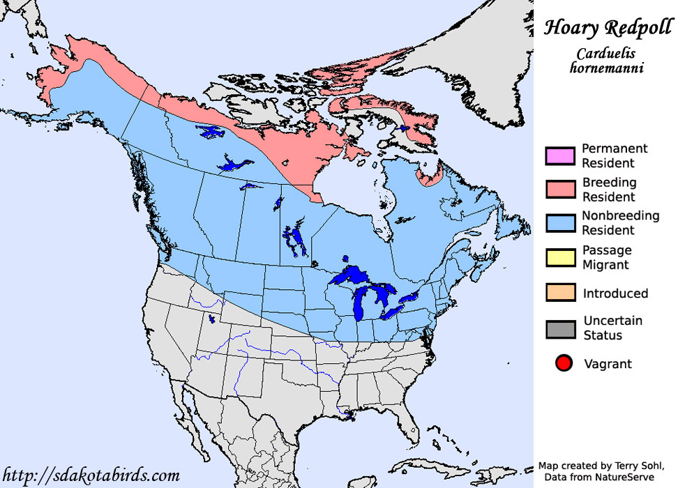 Hoary Redpoll - Species Range Map