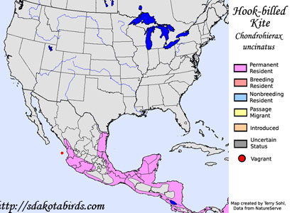 Hook-billed Kite - Range Map