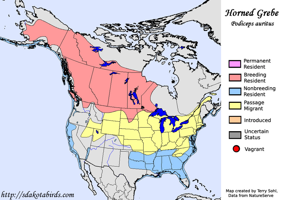 Horned Grebe - Range Map