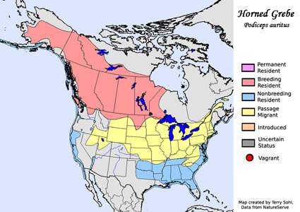 Horned Grebe - Range Map