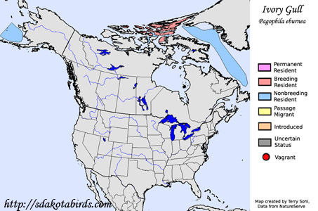 Ivory Gull - Range Map
