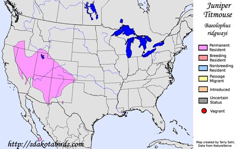 Juniper Titmouse - Range Map