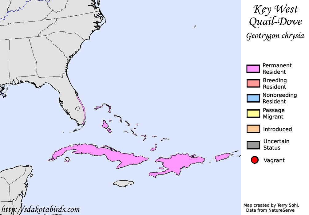 Key West Quail Dove - Range Map