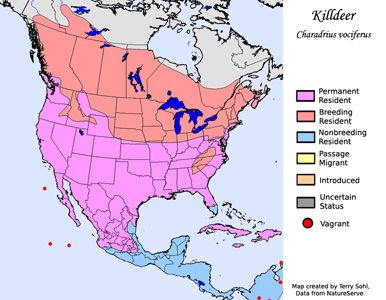 Range Map - Killdeer
