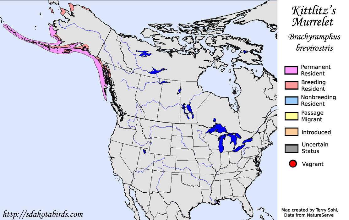 Ktitlitz's Murrelet - North American Range Map