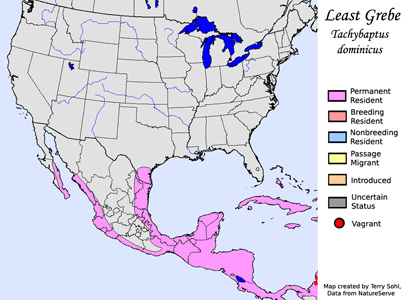 Least Grebe - Range Map