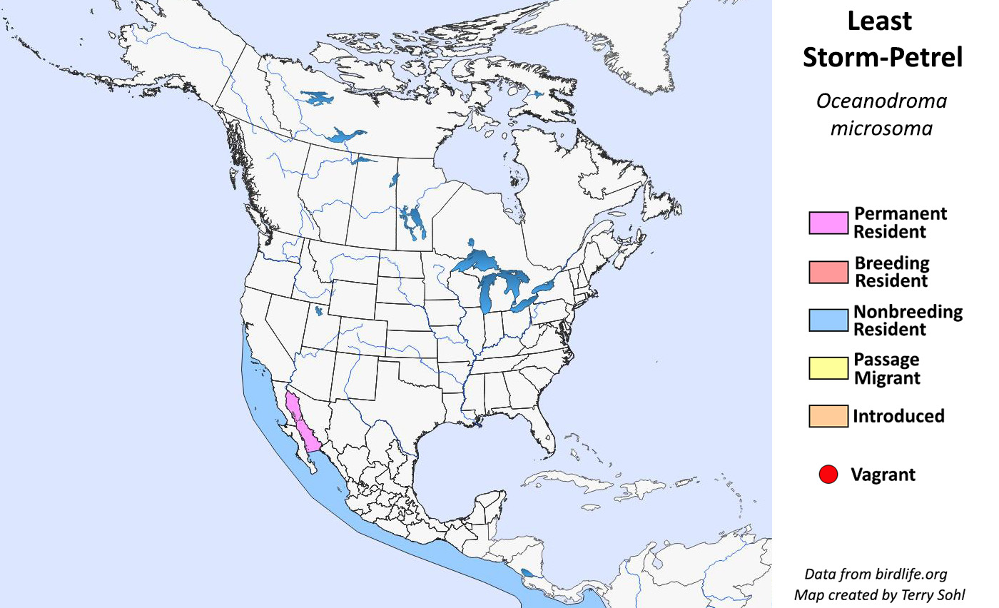 Least Storm-Petrel - North American Range Map