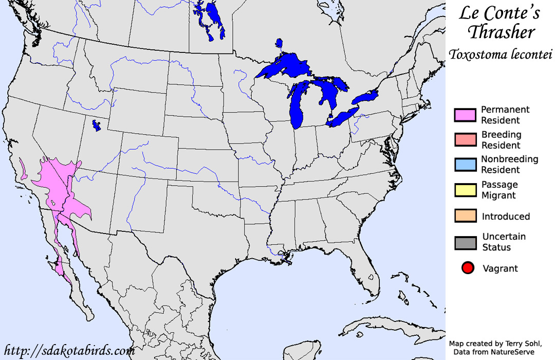 le Conte's Thrasher - North American Range Map
