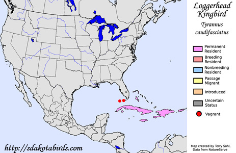 Loggerhead Kingbird - Range Map