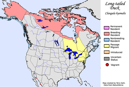 Long-tailed Duck - Range Map